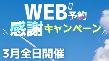 WEB\񊴎ӃLy[